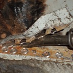 Rail-backed Floor section removal Lifting strip.JPG.jpg