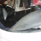 Mount to front of frame in place for fit.jpg