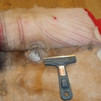 Removing vinyl cover from card.jpg