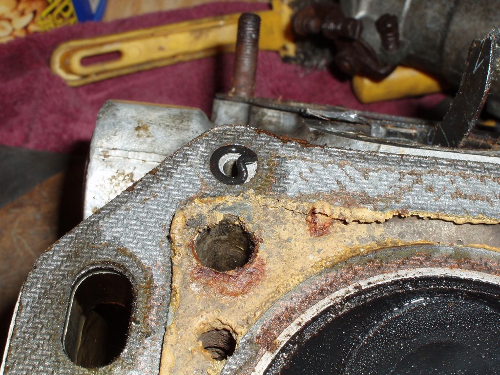 Oil Ring warped (1).jpg