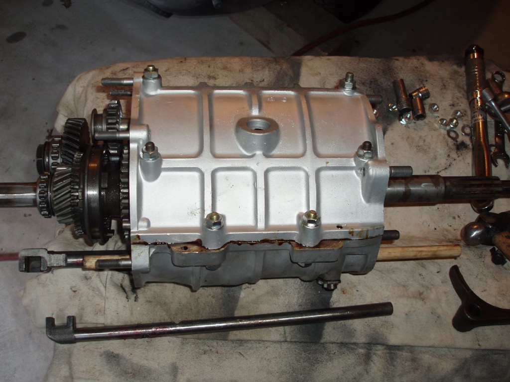 Half shells together.jpg