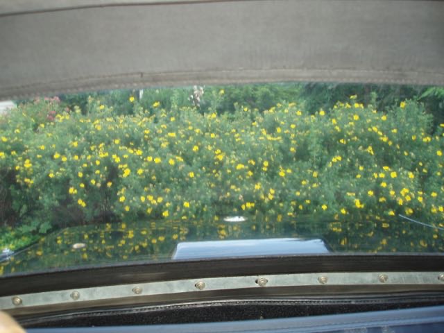 Clear back window.jpg