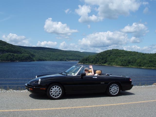 Colebrook Dam Reservoir Spider.jpg