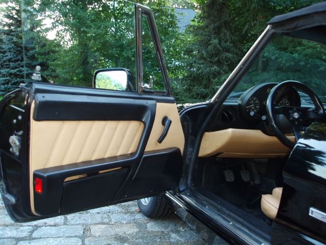 Drivers door interiror.jpg